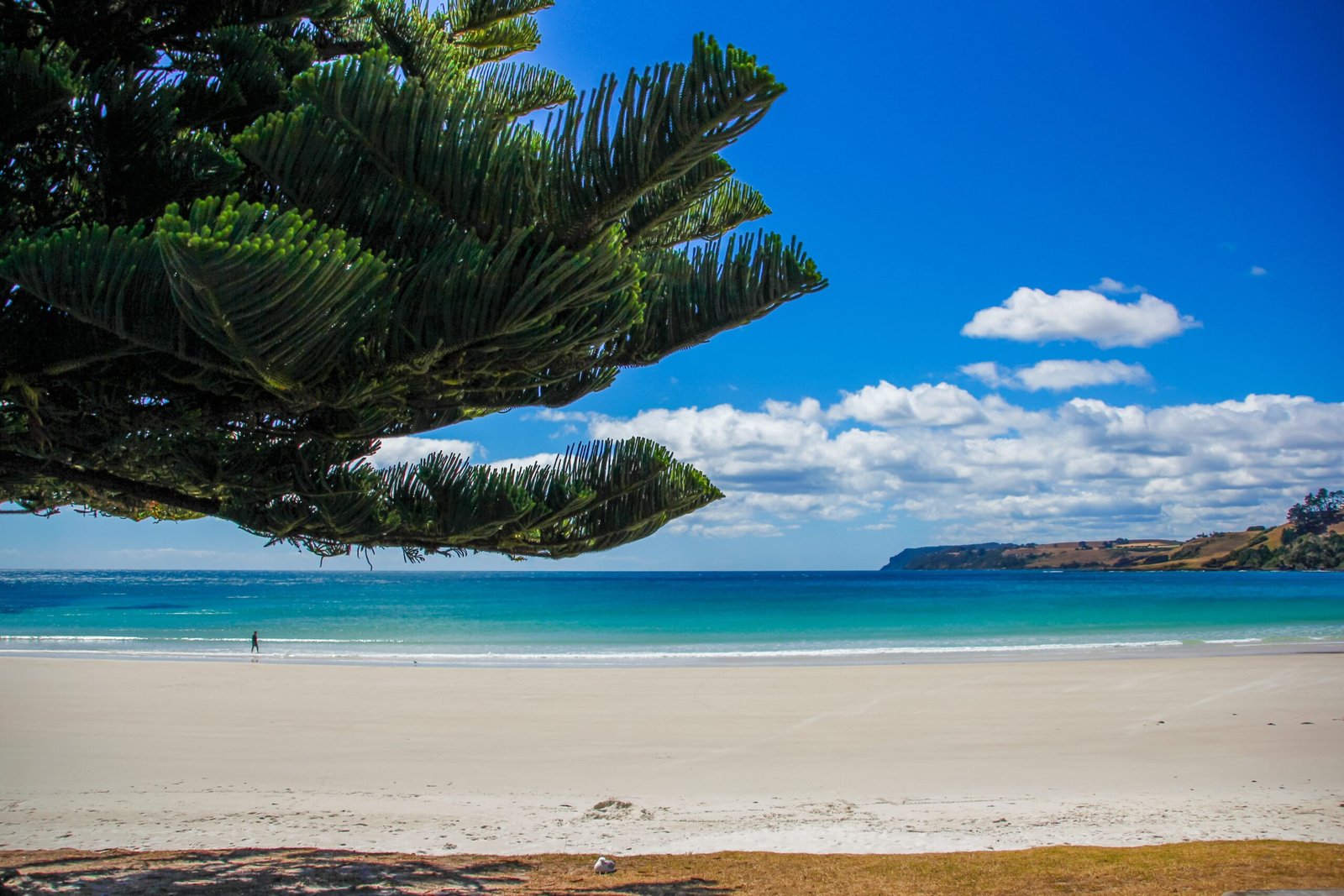 Beaches In Australia