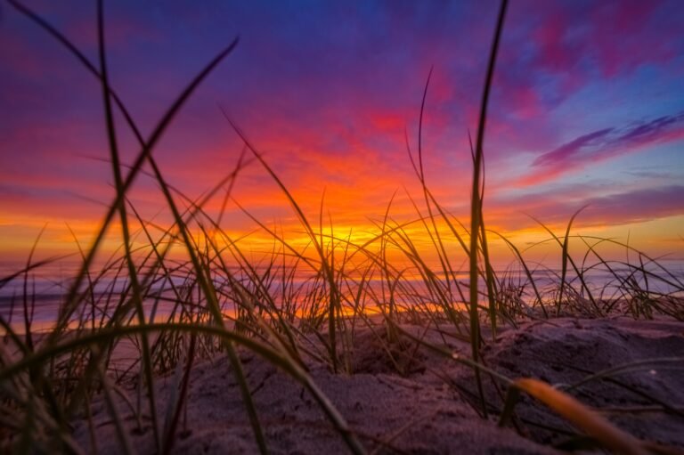 Butterbean Beach in Savannah Ga